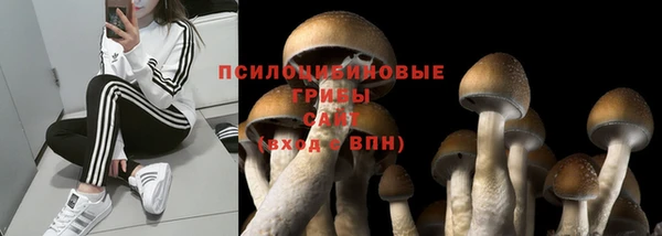 спайс Армянск