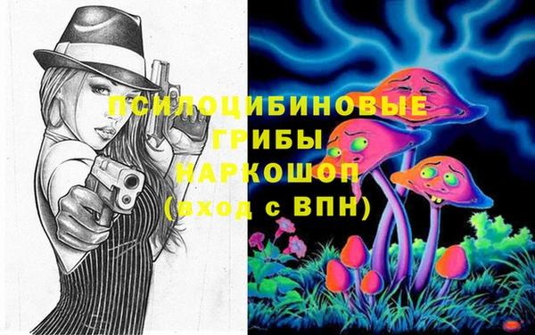 тгк Алзамай