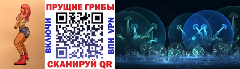 kraken сайт  как найти закладки  Нея  Псилоцибиновые грибы прущие грибы 